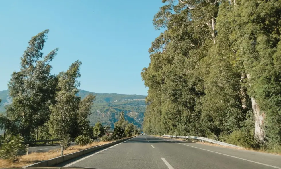 Autostrăzile Sloveniei și informații despre achiziționarea vinietei pentru 2025